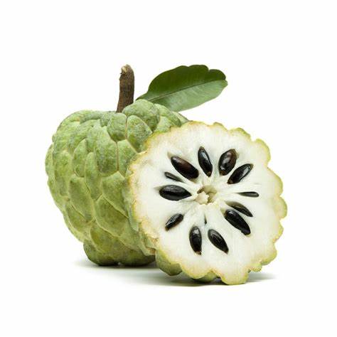 Cherimoya /Pièce